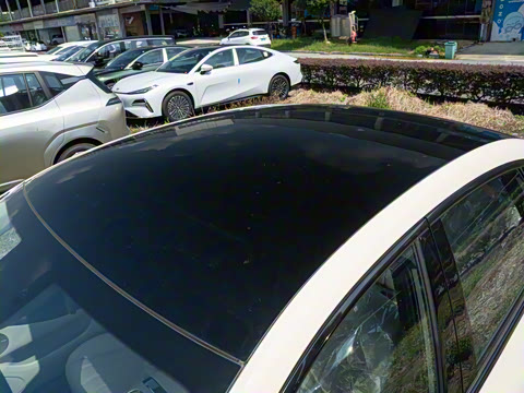 2026�� 520�Ǻ���