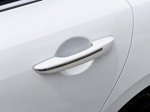 2026�� 1.5L �������� ������