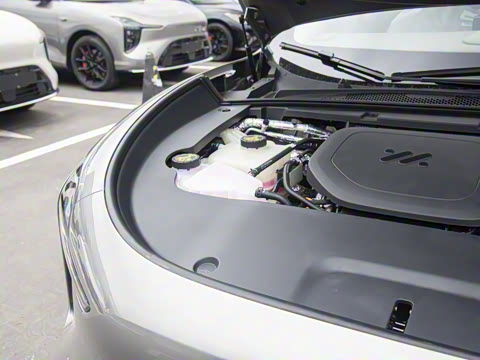 2026�� ���� 66 Max