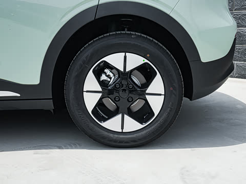 2026�� 310km �˷��