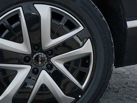 2025�� 150 �캽+��