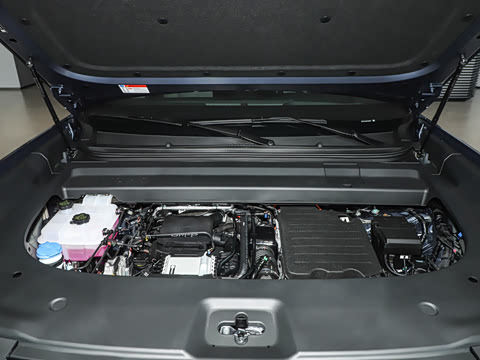 2025�� 190KM����Max��