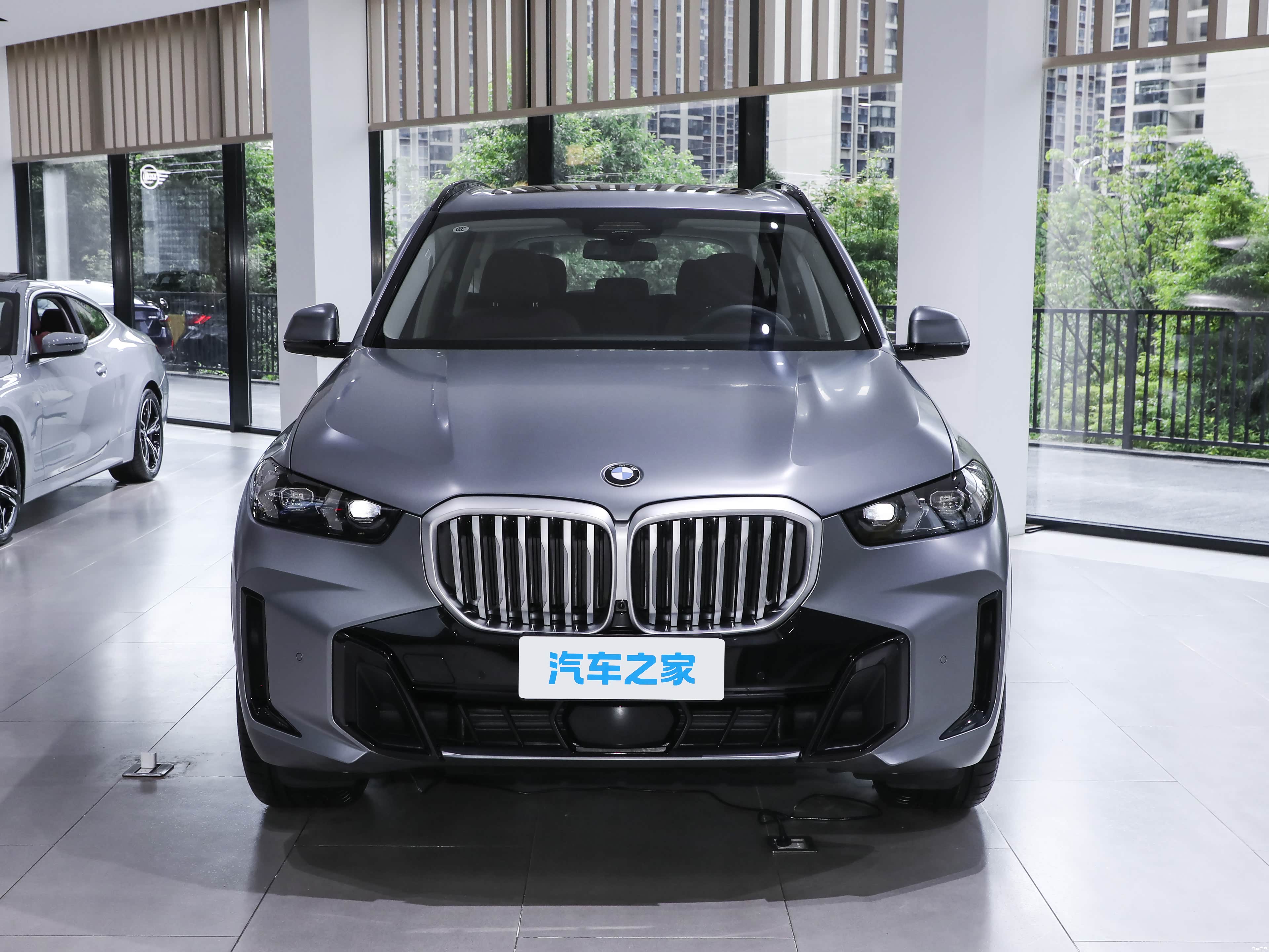 BMW X5, миниатюра 2