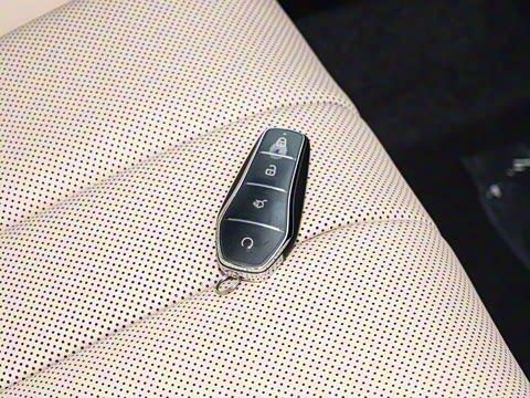 2026�� DM-i 133KM��Խ��