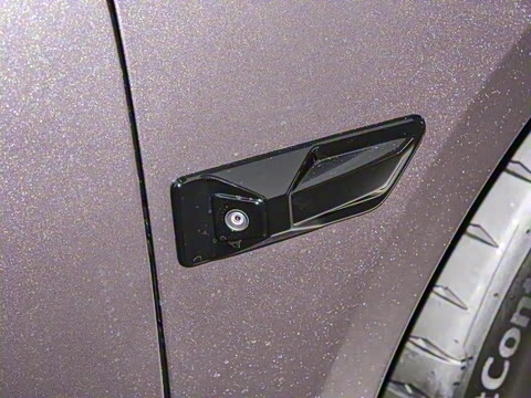 2026��   95������ Max��