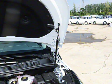 2026�� ½�� ������