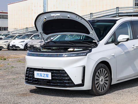 2026�� Max�����״��
