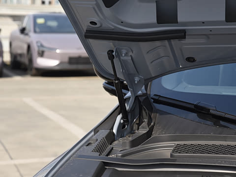 2026�� 625 Max �Ƽ���