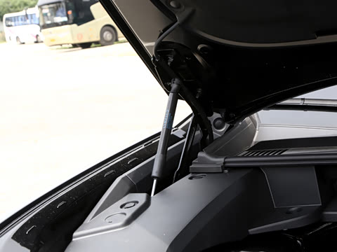 2026�� 230��������Max