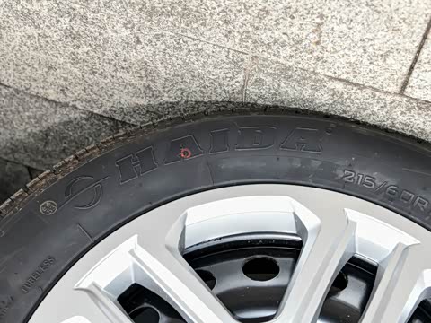 2025�� 1.5L ������