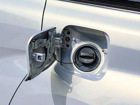 2026�� 2.5L ˫���������ʰ�