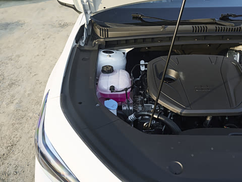 2026�� 60km���ڰ�