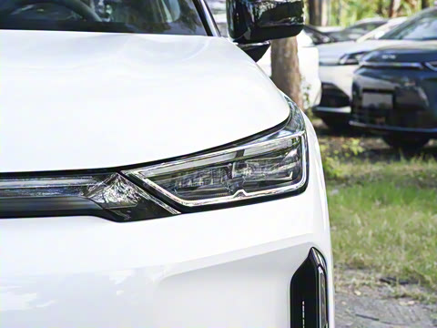 2026�� 650 ��׼��