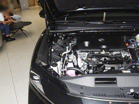 2026�� ˫�� 2.0HSE �˶�Lite��