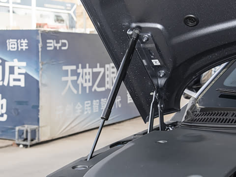 2026�� DM-i 1.5T 135km �����