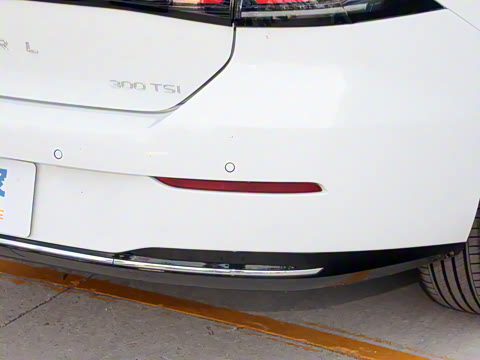 2026�� L 300TSI DSG ������