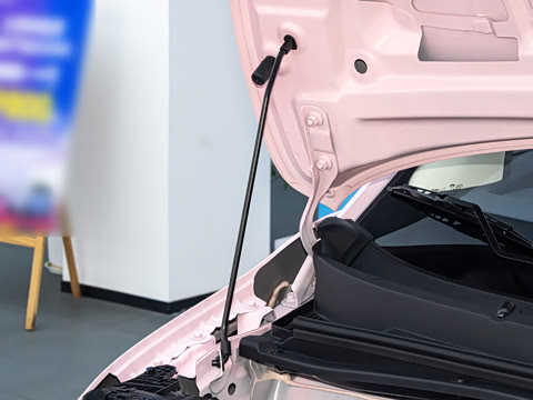 2026�� �����