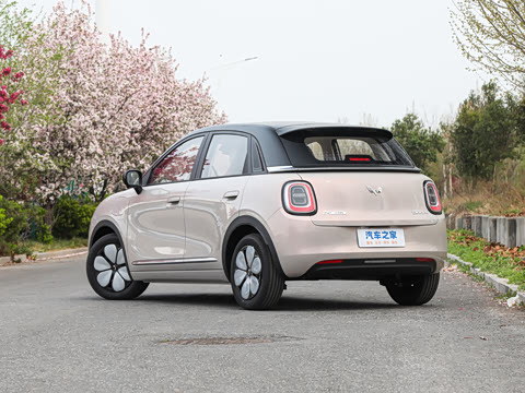 2026�� 330km ������