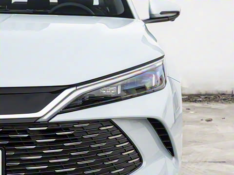 2026�� DM-i 128KM��ȡ��