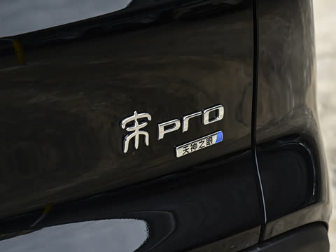 2026�� DM-i 220KM��Խ��