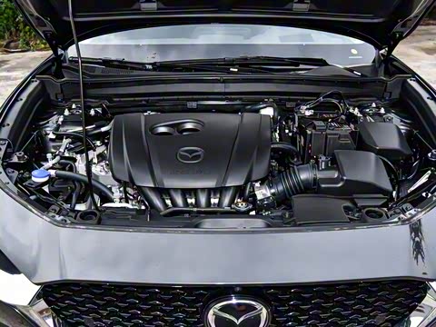 2025�� 2.0L �Զ�������