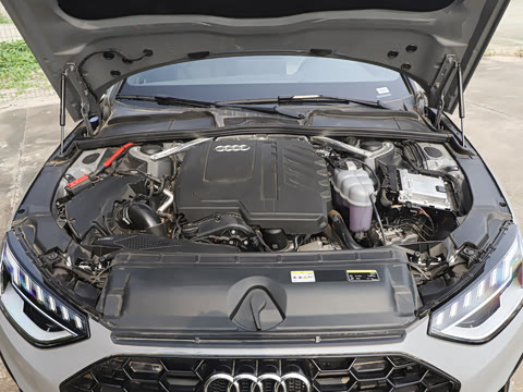 2026�� 200���������� 40 TFSI ����������