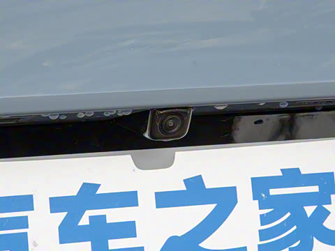 2025�� 650������