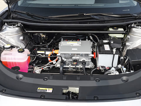 2026�� ������ JOY