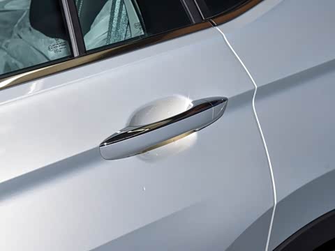 2026�� ���ڿ� 330TSI �Զ�����R-Line��ҫ��