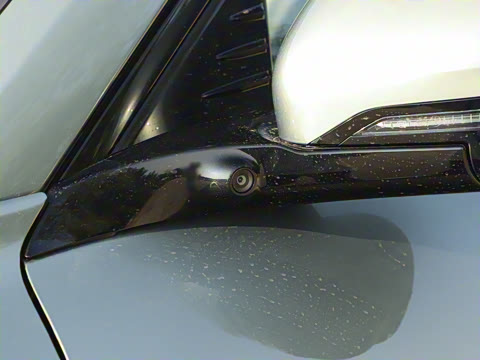 2025�� FREE+ ����Ǭ����