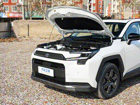 2026�� ˫�� 2.5L ����������