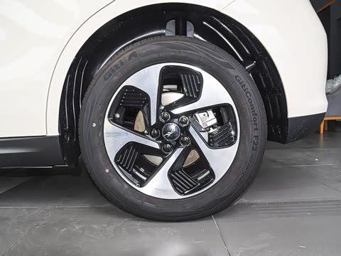 2025�� 505km ������