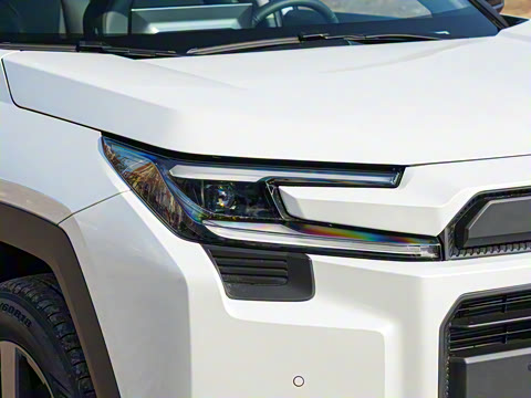 2026�� ˫�� 2.5L ����������