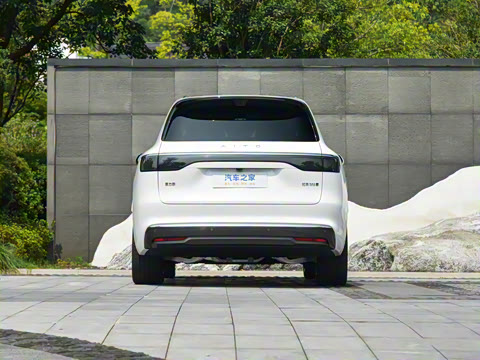 2025�� ���� Max+ ������������ 