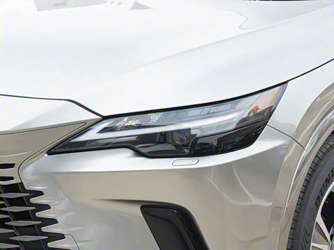 2026�� 300 ����������