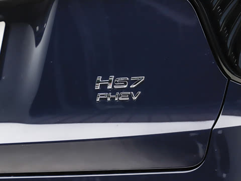 2025�� 2.0T PHEV ���������� 7��