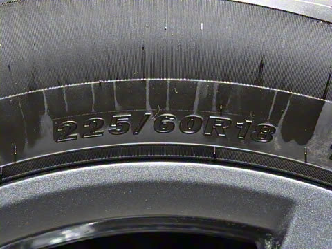 2025�� 520���а�