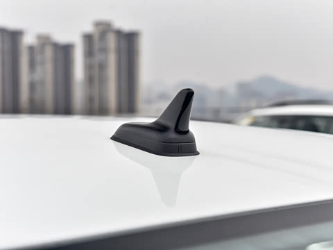 2026�� 300TSI DSG�ǿ����Ȱ�