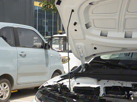 2025�� 550������