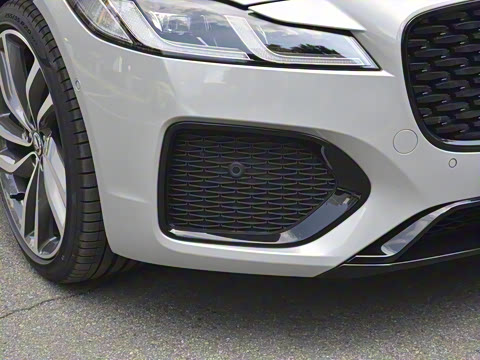 2025�� 2.0T P300 ����90�����ذ�