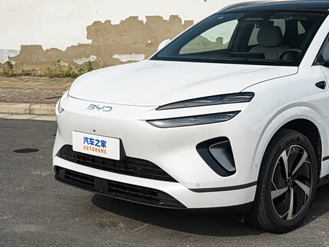 2026�� DM-i 310�콢��