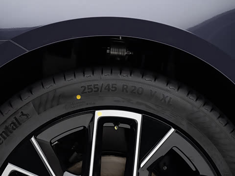 2026�� Max ˫������̰�