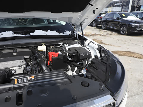 2026�� 2.0T �������ݰ�