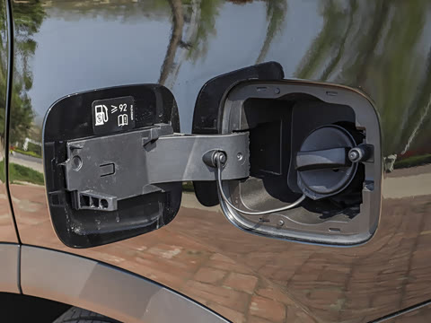 2026�� 290TGDI DCT������ 7��