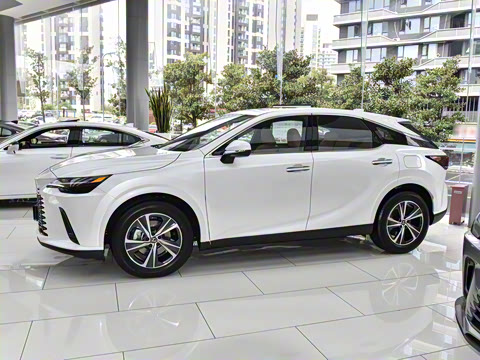 2026�� 300 ����������