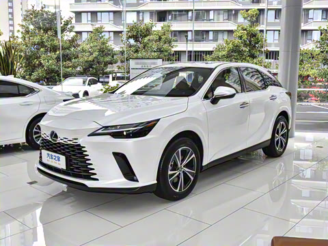 2026�� 300 ����������