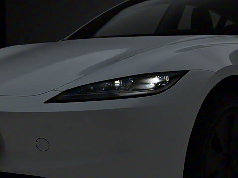 2025�� �Ŀ� ����������������