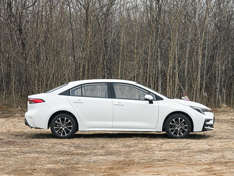 2026�� ����L ���Ͱ� 2.0L ����PLUS��