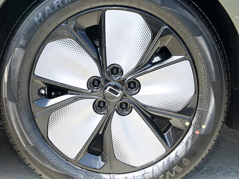 2026�� ���� 565 Plus