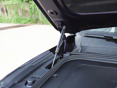 2026�� �������������